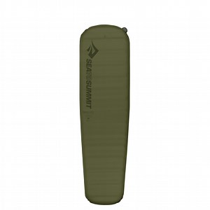 Camp Plus Self Inflating Affordable Sleeping Pad