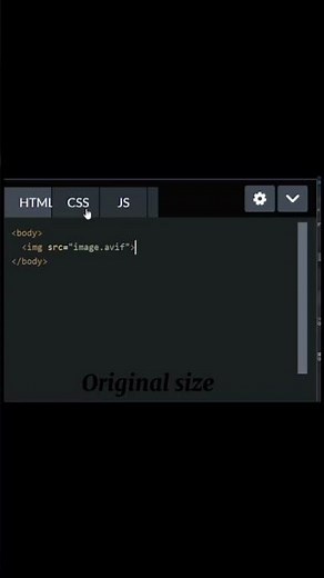 Resizing Images in HTML| Perfecting Your Web Design #webdevelopment #webdeveloper #codinglife
