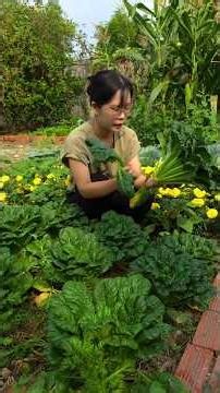 Lẩu chay giải ngấy cỗ Tết lại cực bổ dưỡng #giannhanho #shortsfood