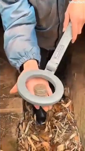 Metal Detector | #shorts