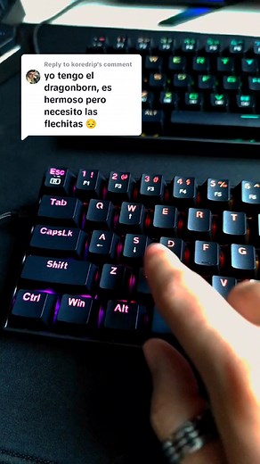 Cómo usar las flechitas en el teclado Dragonborn