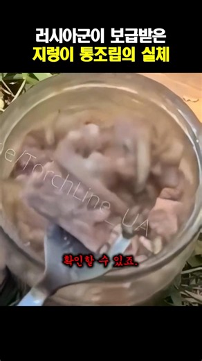 러시아군이 보급 받은 '지렁이 통조림'의 정체