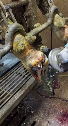 Professional Cow Hoof Trimming in Action!