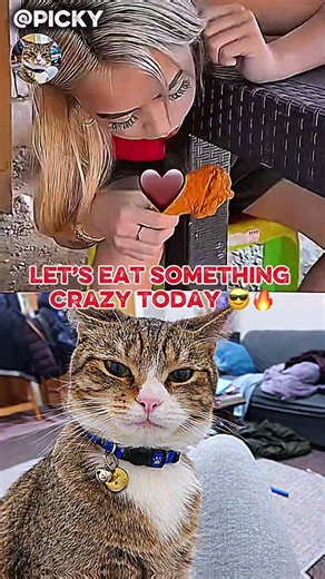 The real food is under the table 😄”