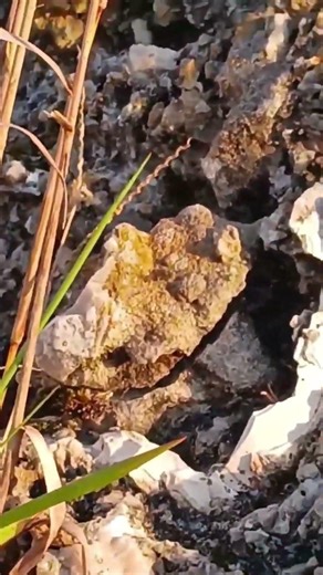 Let's Look Over Here