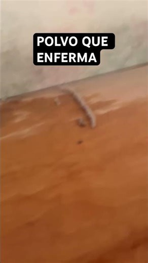Evita enfermedades respiratorias en casa!!! LUGARES, donde BUSCAR