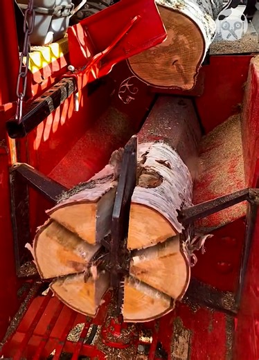 496K views · 625 reactions | This log cutter/splitter machine is so efficient | Bored Panda Art | Facebook