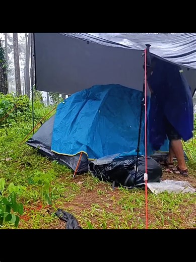 Camping in Heavy Rainfall: Forest Camp Setup