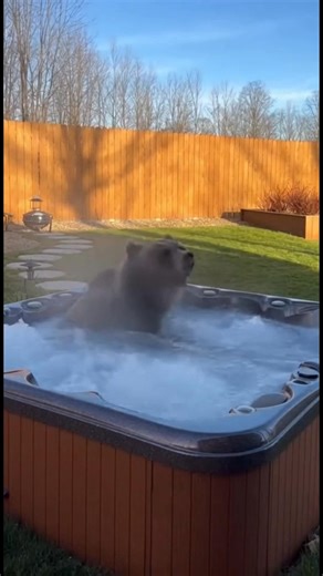 1.5M views · 55K reactions | Relajación del Oso en Jacuzzi Relajación del Oso en Jacuzzi #fblifestyle #AI Generated using Kling AI . . . (Sólo con fines de entretenimiento. Consulte a profesionales si se presentan orientaciones sobre actividades. Si se muestra alguna marca, no implica ninguna afiliación. Si se inspiran en hechos reales, pueden incluirse adaptaciones creativas. El contenido puede incluir imágenes públicas.) | Amo a los animales | Facebook