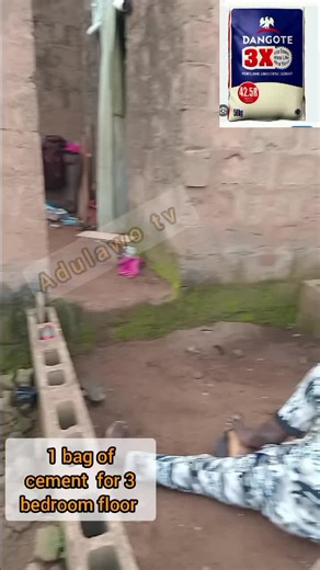 unbelievable bricklayer