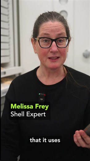 Shell Expert vs Viral Video