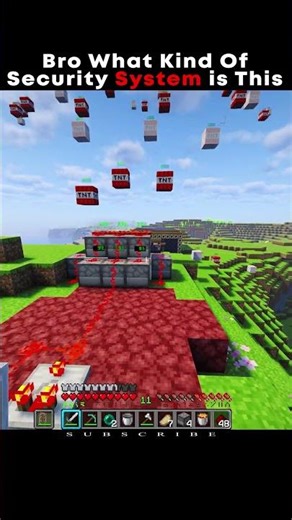 Bro What Kind Of Security System is This #minecraft