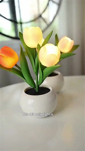 The perfect spring decor, tulip lights cute SO #tulip #tulips #tulipseason #tuliplight #lights