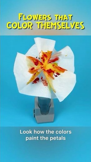 WOW! Paper Flowers that COLOR THEMSELVES | Easy Science Experiment #experiment #science