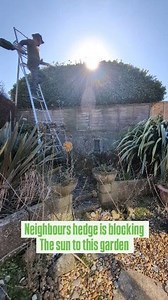 This neighbours hedge is blocking the sun to this garden, they have kindly given me permission to cut the top. #gardener #gardening #gardenmaintenance #gardenlife #garden #gardens #satisfying | Gary Hall Garden Services