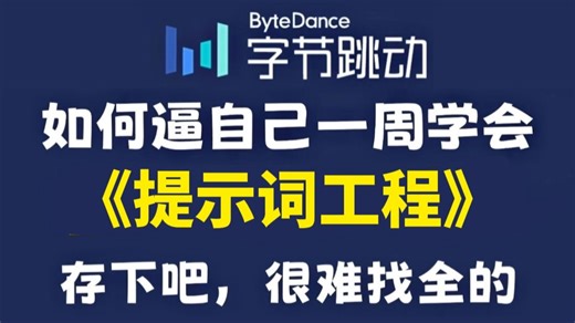 翻遍整个B站，这绝对是2025讲的最好的提示词工程（Prompt Engineering）入门到精通实战教程，七天就能从小白到大神，让你少走99%的弯路！