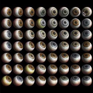 Peepers, XEyes edition: From the XScreenSaver Collection, 2018.