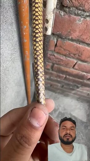 Incredible Gadgets and Tools Unveiled! 🔥✨ #shorts #Tech