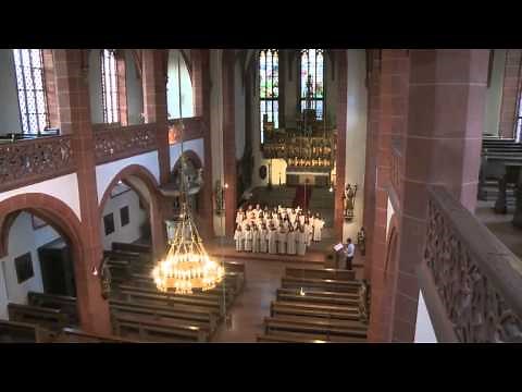 Gotteslobvideo (GL 225): Wir ziehen vor die Tore der Stadt