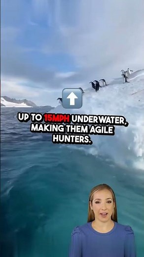 Penguins Nature's Aquatic Masterminds!