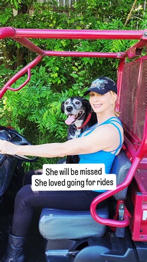 Gracie...Thank you for all the love ❤️💔. . . . #ForeverInMyHeart #DogsOfHeaven #LoveNeverDies | Betty Pariso