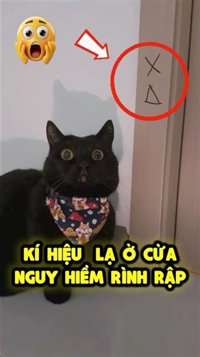 Cảnh Giác Với Kí Hiệu Lạ Cửa Nhà | Mun Mun 🤔