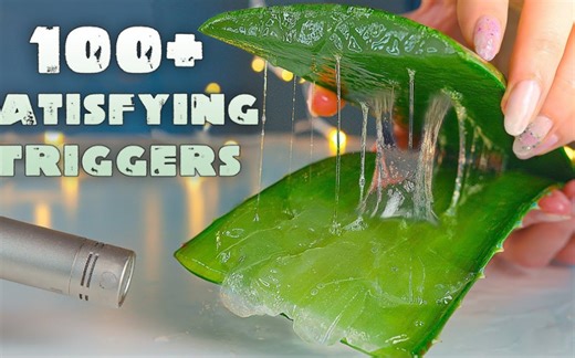 【StacyAster_助眠】触发｜ASMR睡上一整夜-100+令人满意的触发音/ASMR无人声( 1920 X 1080 )