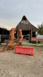 25K views · 1.8K reactions | ¡Tenemos último REPORTE ! T & Rex muy pronto se encuentran con su mandada #RanchTexas #viral #trend #tendencia #DinoRanch #GranjaJurasica #jurassicRanch #risas #colombia #barranquilla #caribecolombiano | Ranch Texas | Facebook