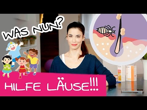 Detecting and treating head lice in children – This is what you must do!