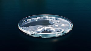 Liquid mercury 3d simulation in petriplate, chemical animation | Premium Stock Video Footage