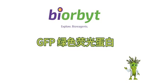 GFP 绿色荧光蛋白