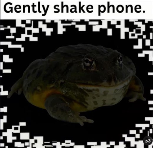 LLLReptile and Supply Co, Inc on Instagram: "Jiggly frog to boost your serotonin for the day. . . . #reptiles #frogs"