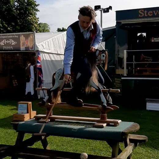 Debbie Harris on Instagram: "Polo @bhorsetrials !"