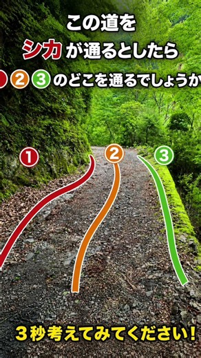 貴方はわかりますか？ #クイズ #山 #狩猟 #猟師 #雑学