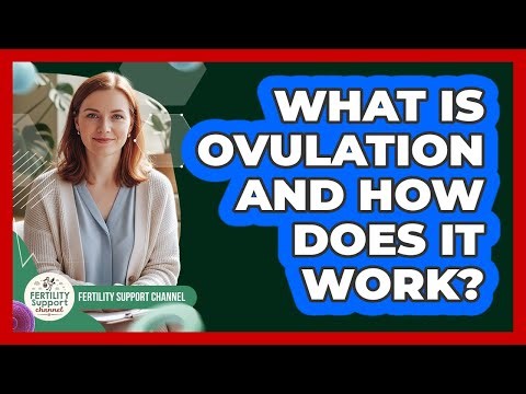 What Is Ovulation And How Does It Work?