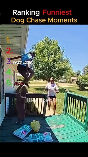 Ranking Dog Chasing Moments… #1 Is INSANE 🤯