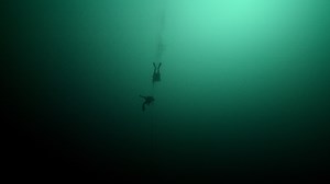 96K views · 906 reactions | Uncover the truth of the transatlantic slave trade with Samuel L Jackson. Watch ‘Enslaved’ Sundays at 9PM on CBC & CBC Gem. | NowThis | Facebook