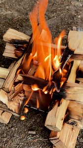 2.6M views · 10K reactions | Quick Fire Starter | DeMilked | Facebook