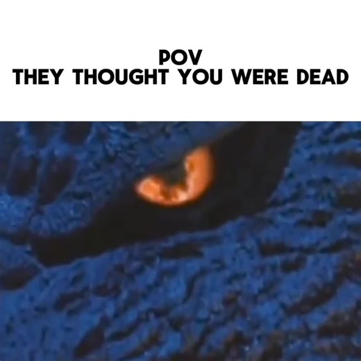 Godzilla Final Wars: Unleashing the Epic 2004 Experience