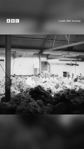 Step back in time with this BBC Archive footage showing British wool auctions and grading in action. From the careful assessment of fleece quality to the lively auction floor, every step highlights the skill, knowledge, and tradition behind British wool - a fibre that has shaped farming, fashion, and homes for generations. Even today, the same dedication continues, connecting past and present in every bale of wool. 📹 credit @bbc_archive
