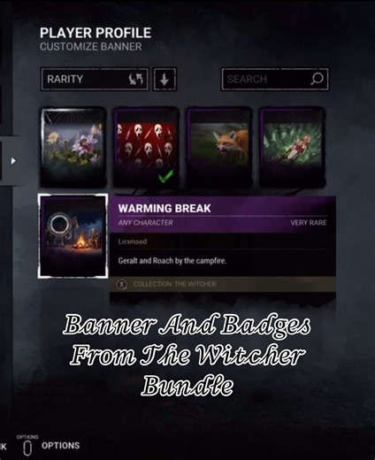 Banner and Badges from The Witcher Bundle