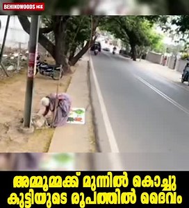 261K views · 7.6K reactions | പിളള മനസ്സ് എന്നും ശുദ്ധമായിരിക്കും | MT Vlog | Facebook