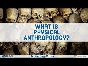 What is Physical Anthropology?