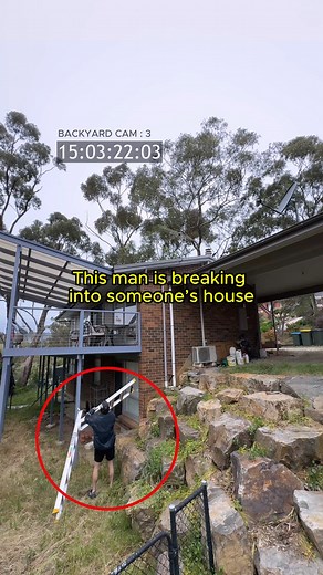 497K views · 1K reactions | THIS MOMENT CHANGED EVERYTHING…  | The Royal Stampede | Facebook