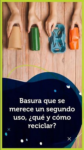 Basura que se merece un segundo uso, ¿Qué y cómo reciclar?