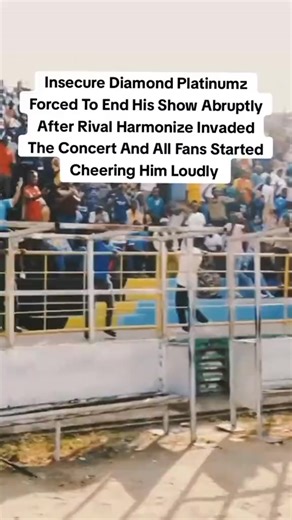 TikTok · AirforceOne