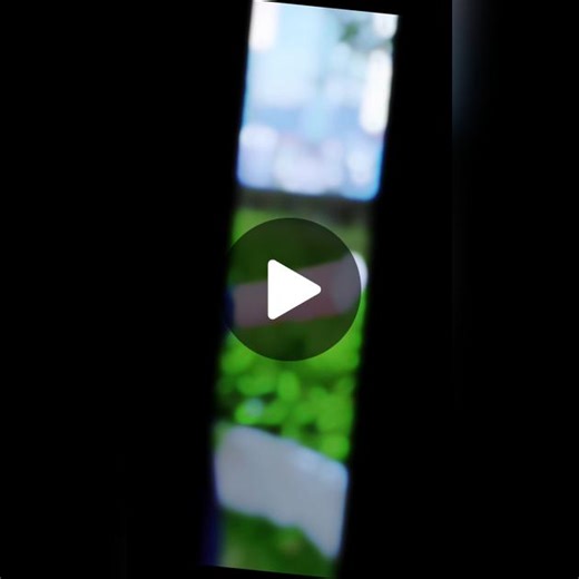 Bon Bon TV trên TikTok