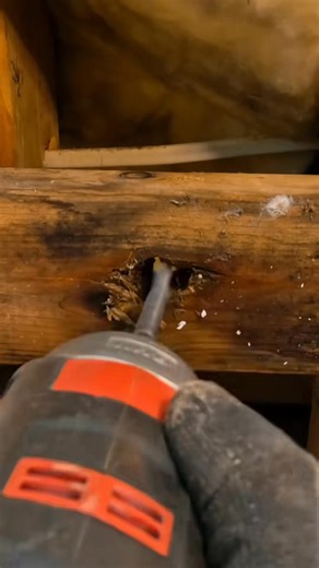 Replacing an outside hosebibb on gray polybutylene pipe 🌱💦 #plumbing #plumber #asmr | TheplumberLorian