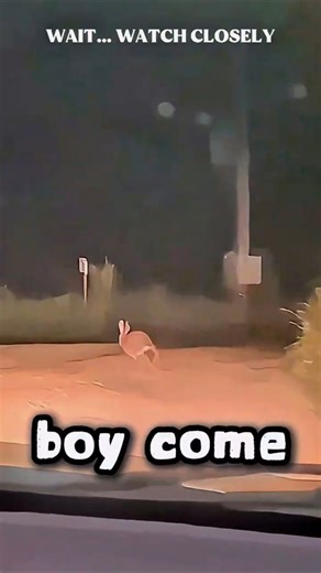 This Night Drive Took A Crazy Turn