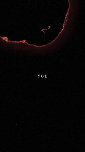 #CapCut #shallow #lyrics